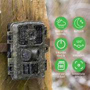 Professionele Wildcamera met Nachtzicht - 4K